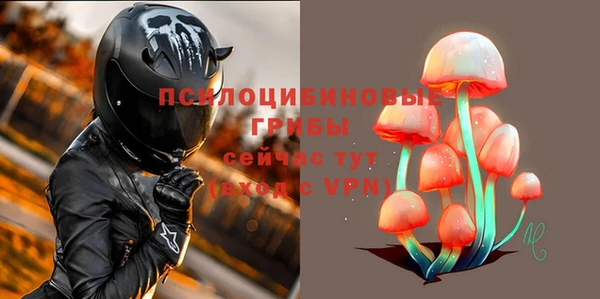 jwh Богородск