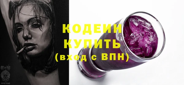 крисы Богородицк