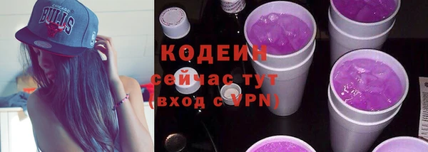 гашик Тайга