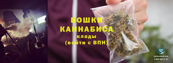 крисы Богородицк