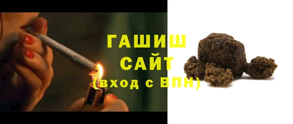 гашик Тайга