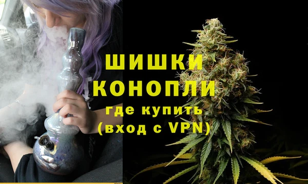 крисы Богородицк