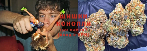 крисы Богородицк
