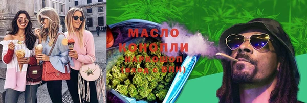 крисы Богородицк