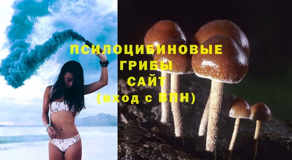 jwh Богородск