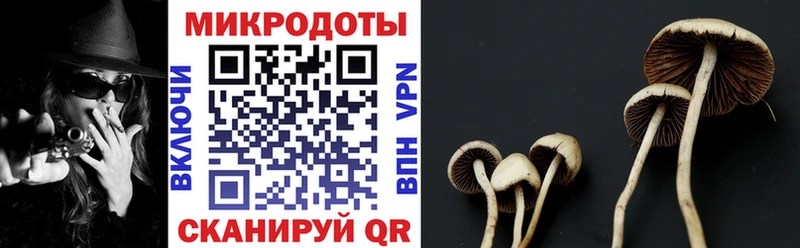 Галлюциногенные грибы Magic Shrooms  Новая Усмань 